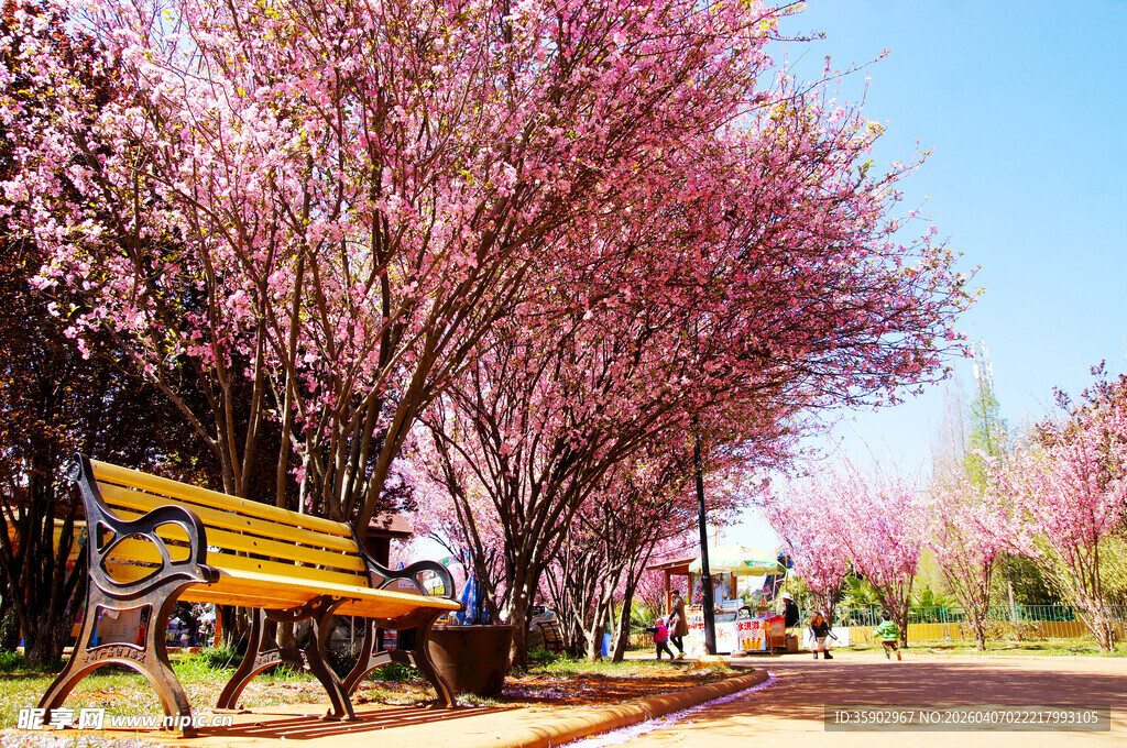 昆明大观楼春色