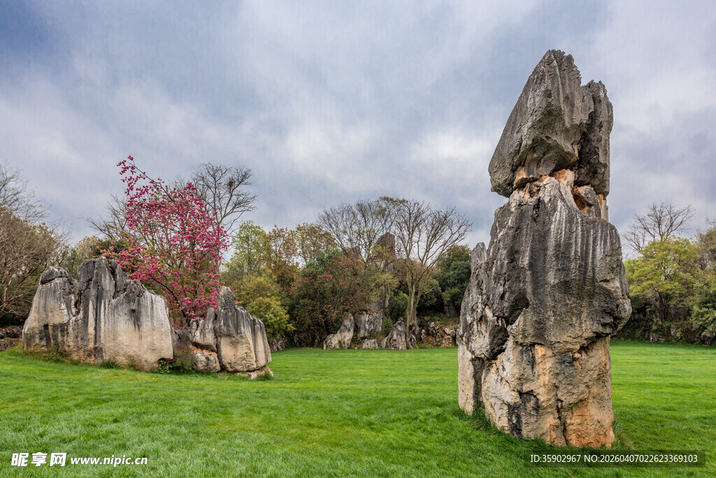 云南昆明石林风景区
