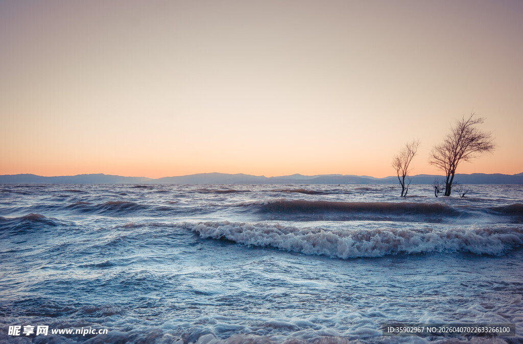冬日旷野孤树暮色雪景
