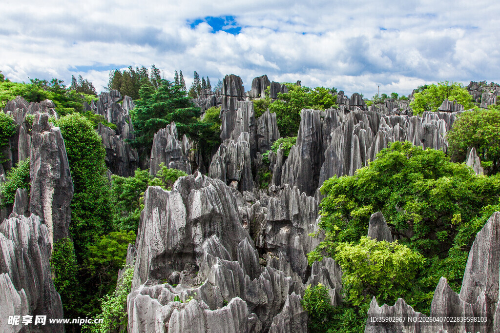 壮观石林与葱郁植被景观