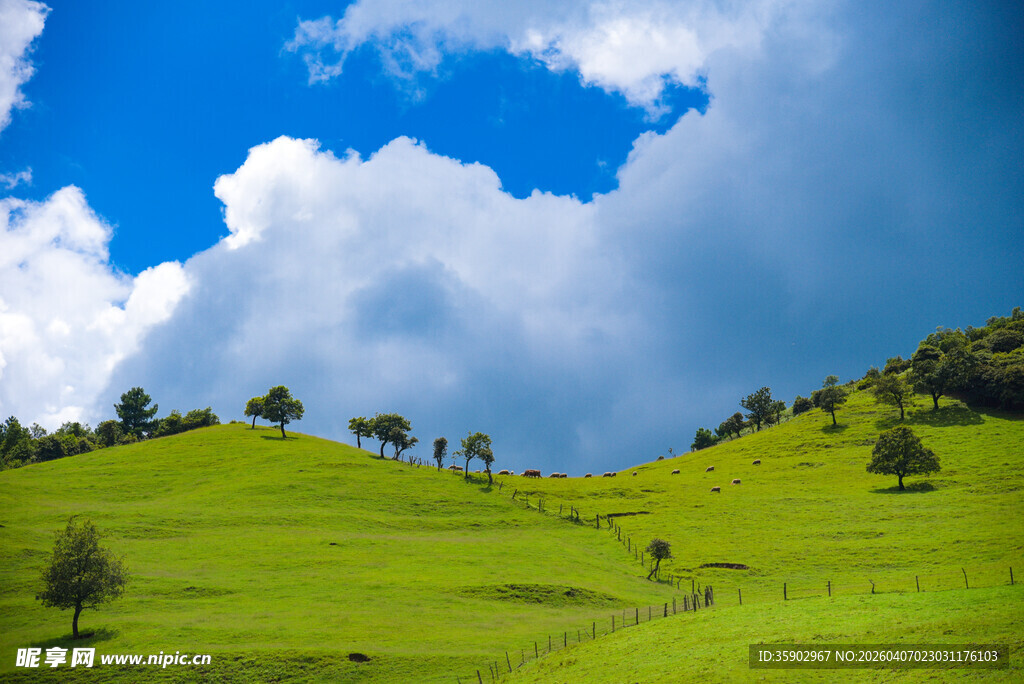 翠绿山坡上的蓝天白云