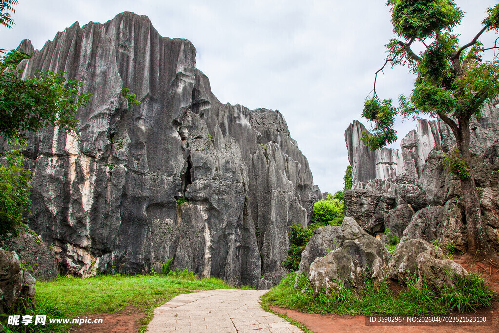 石林景观自然奇观之路