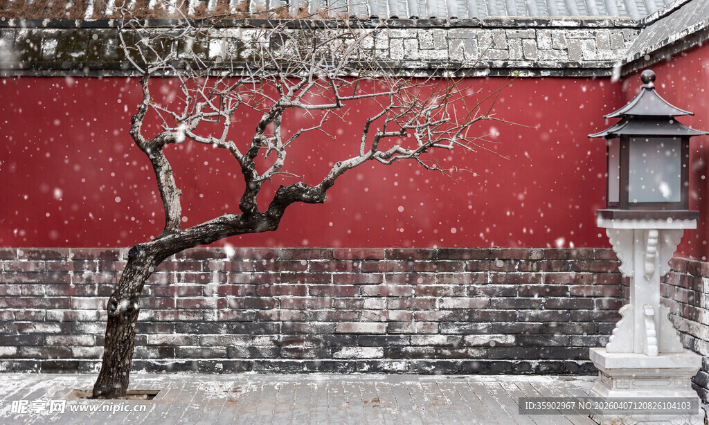 红墙雪景孤树古灯景致