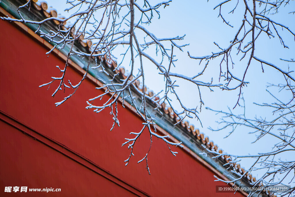 红墙枝头雪景