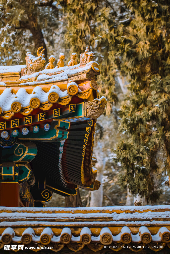 雪覆古建屋檐树木相伴