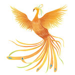 金色凤凰展翅图