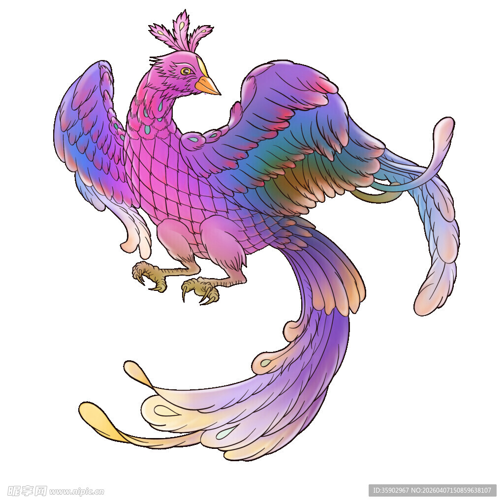 彩色凤凰插画