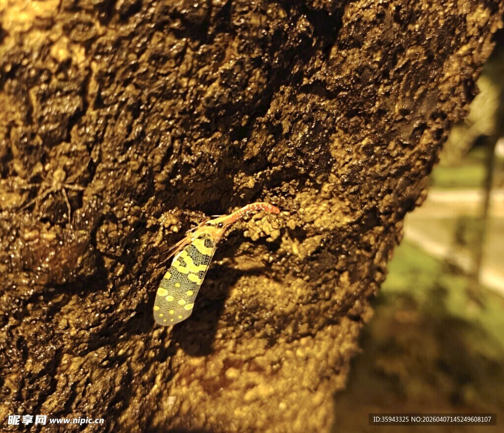 树干上的绿色小虫子