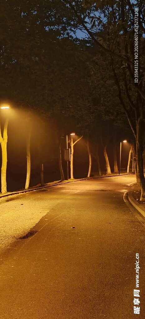 夜晚路灯下的静谧道路