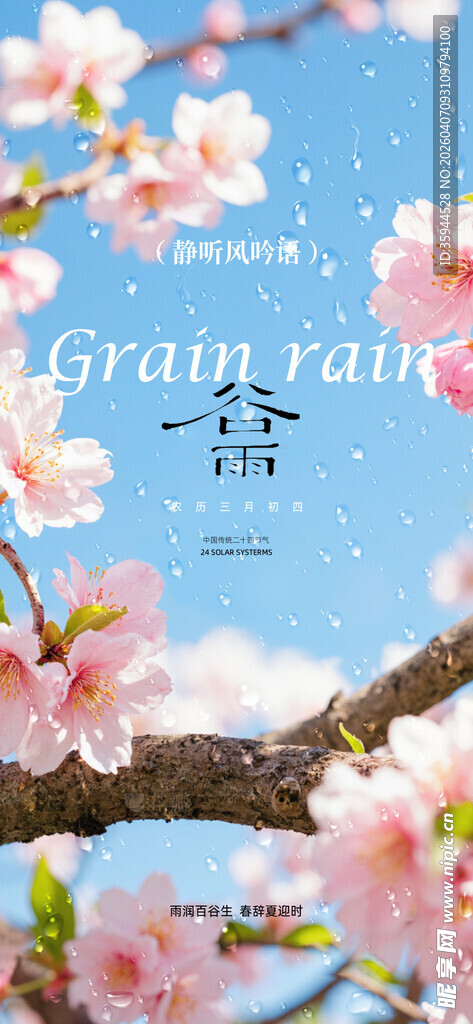 春日烂漫樱花与飞鸟