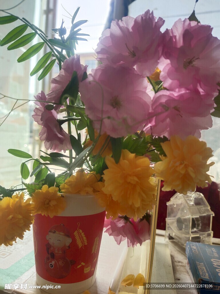 多彩鲜花装点温馨室内