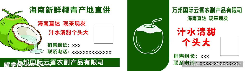 海南椰青名片