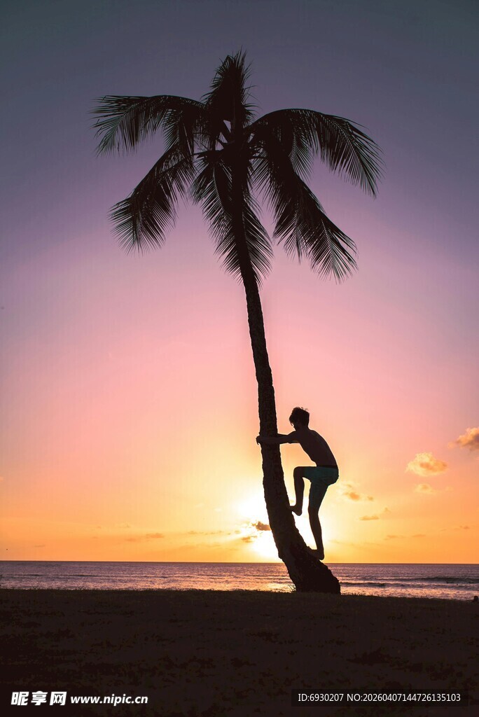 夕阳下的椰树旁瑜伽身影