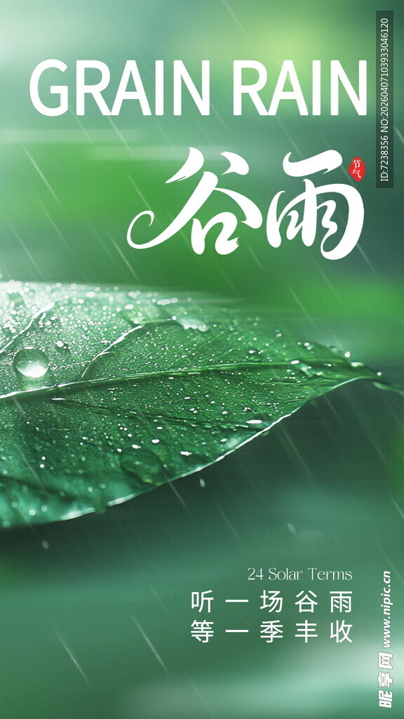 谷雨时节嫩叶尽显生机