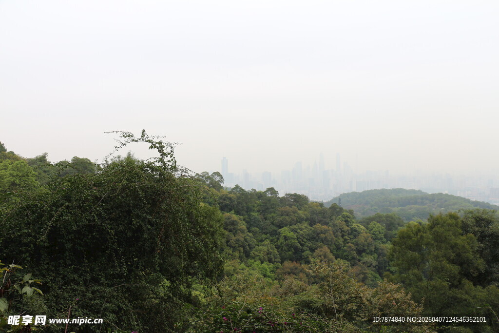 山林景致 绿意盎然