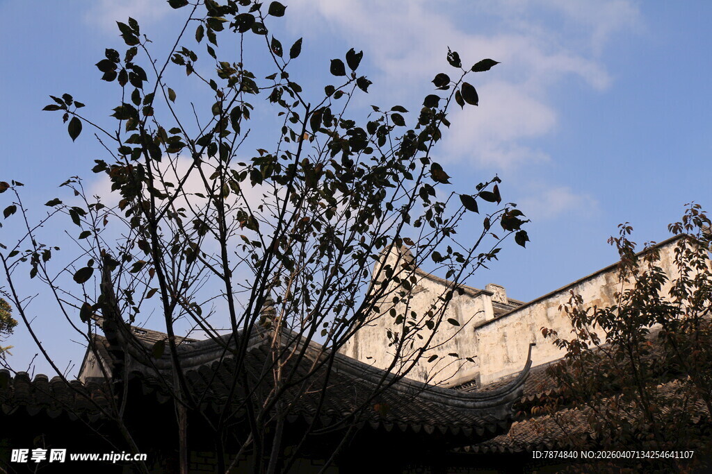 古建旁的枝叶与蓝天美景