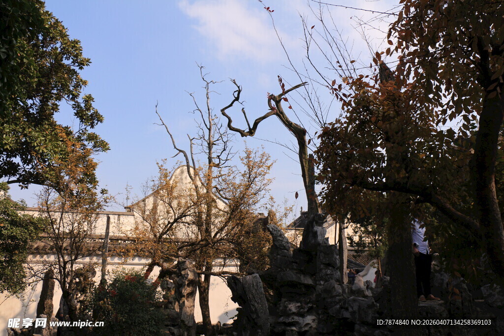 中式园林景致 古朴树木