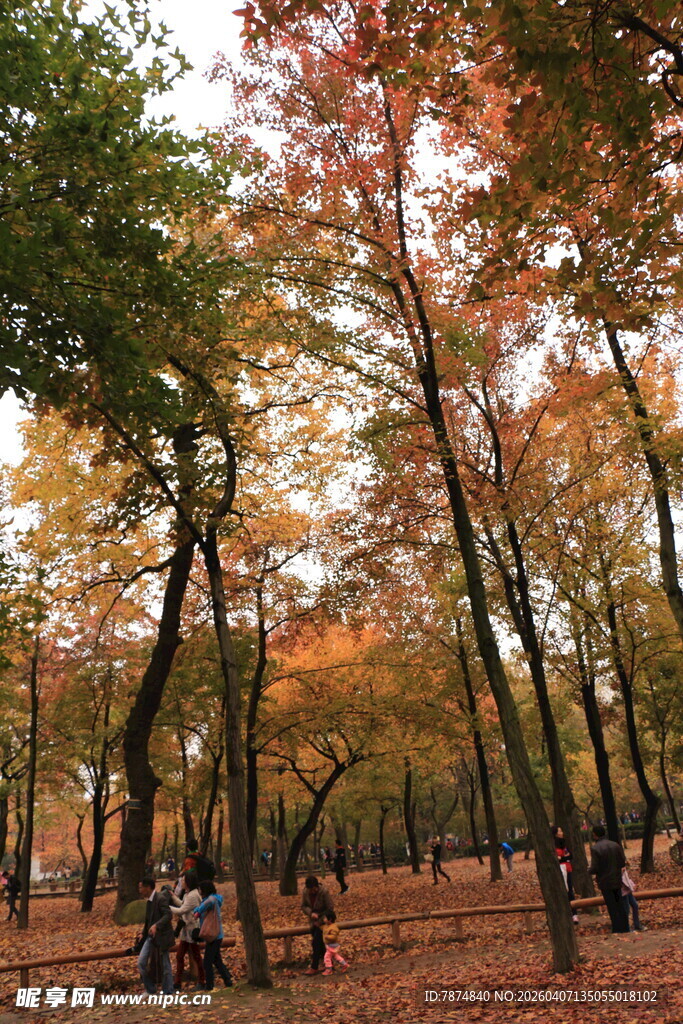 秋日公园赏景的悠闲时刻