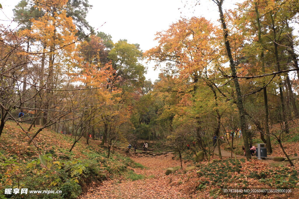 秋日山林小径美景