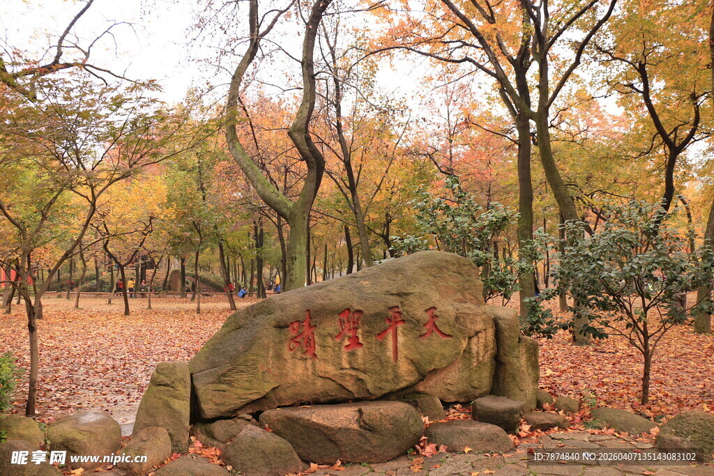 秋日林间刻字巨石景观