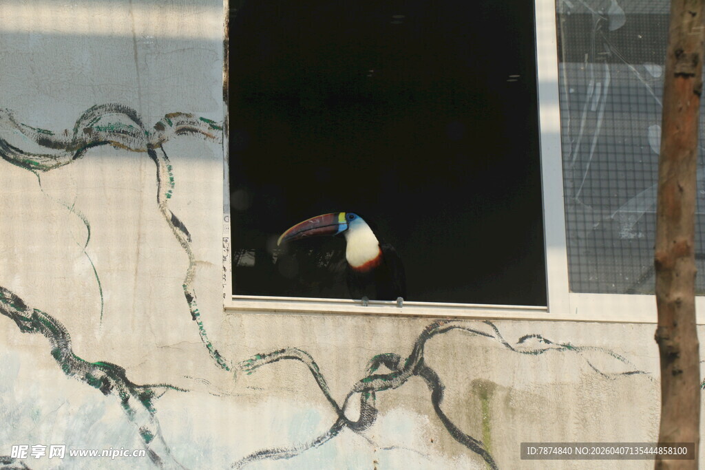 破旧墙面上的破损窗户