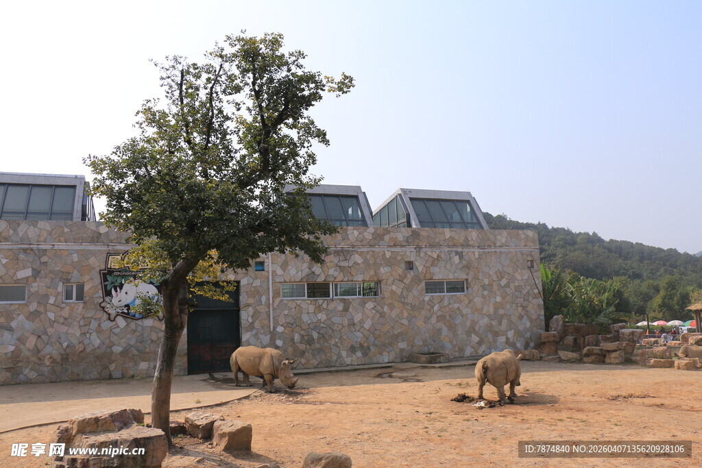 石墙旁树下的悠闲动物