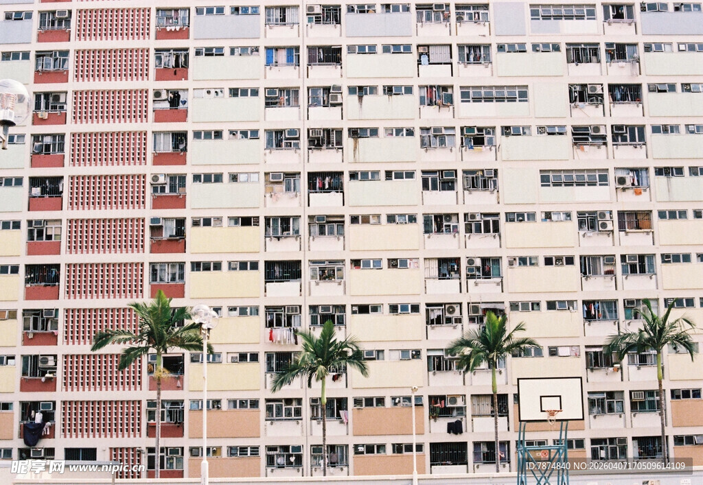 密集居民楼与棕榈树景观