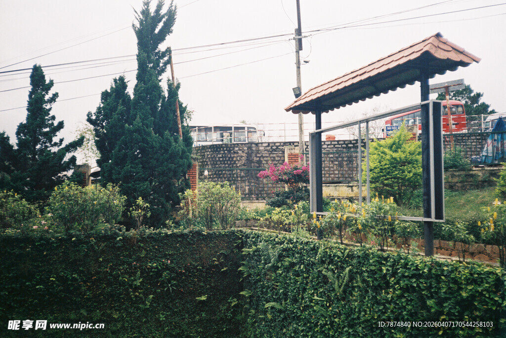 中式园林景观一角