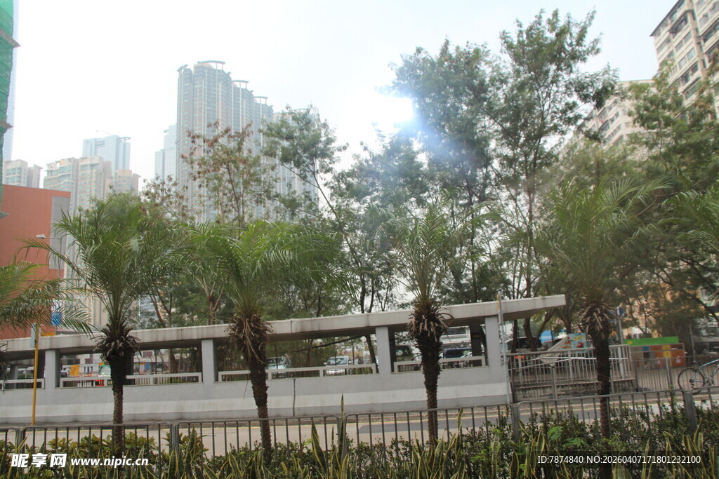 城市街道旁的公共候车亭