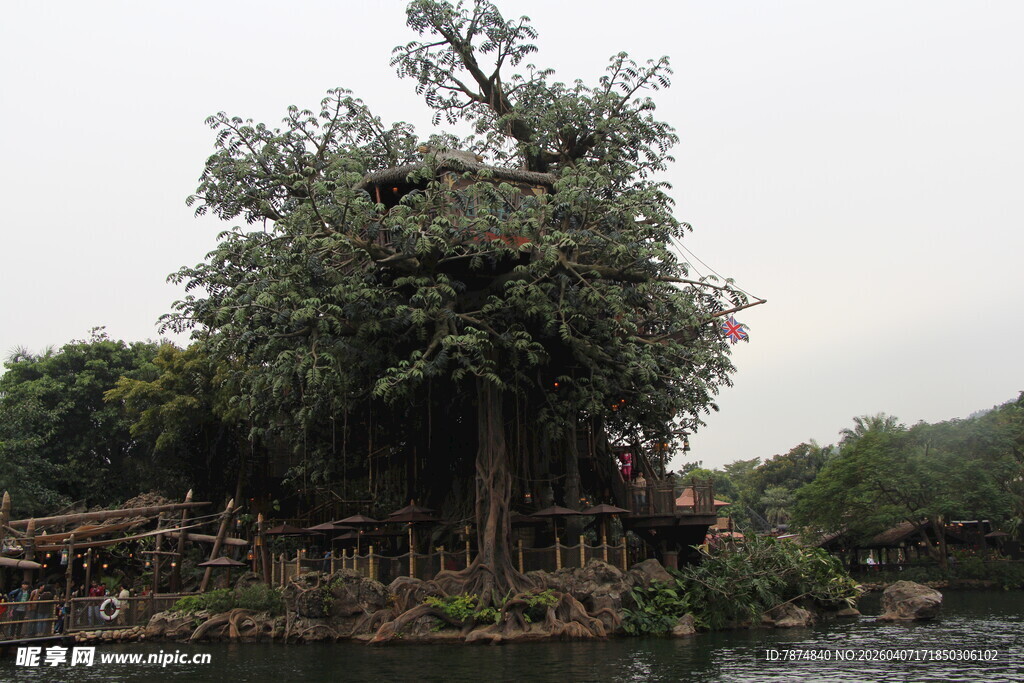 河畔繁茂大树与周边景致