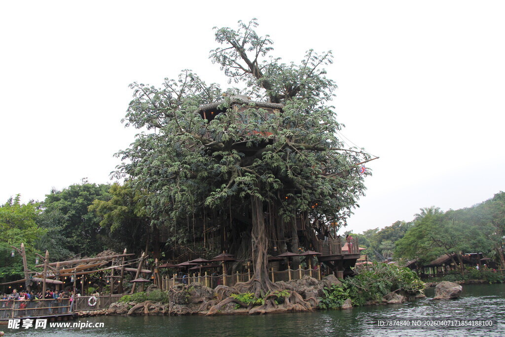 湖畔繁茂大树景观