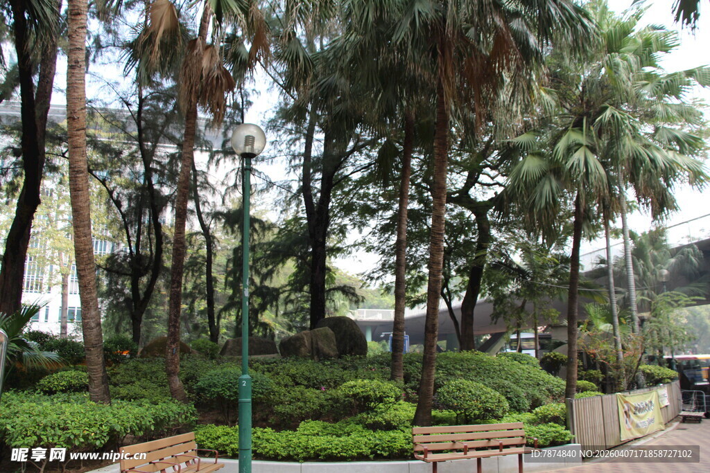 城市中的静谧林荫景观