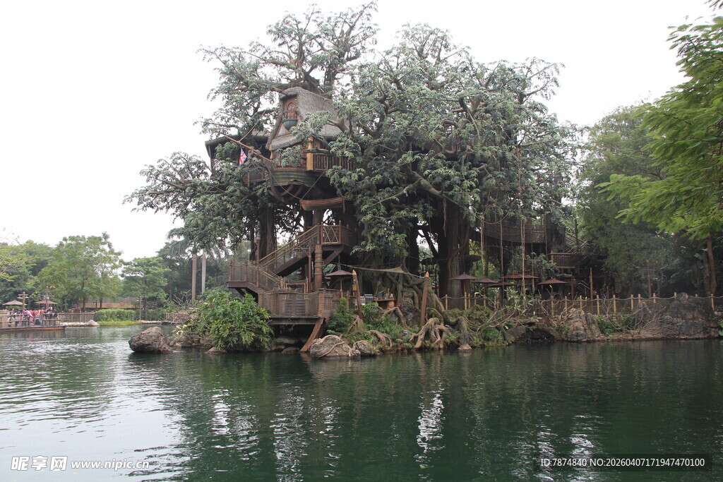 湖畔葱郁古树景观