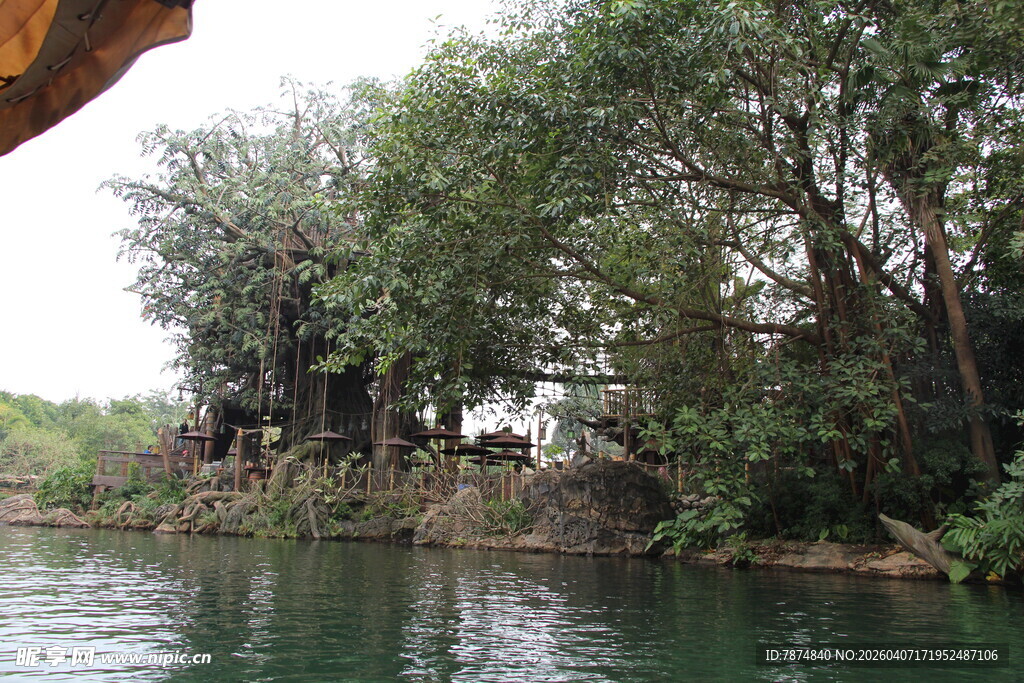 河畔绿树环绕的静谧景致