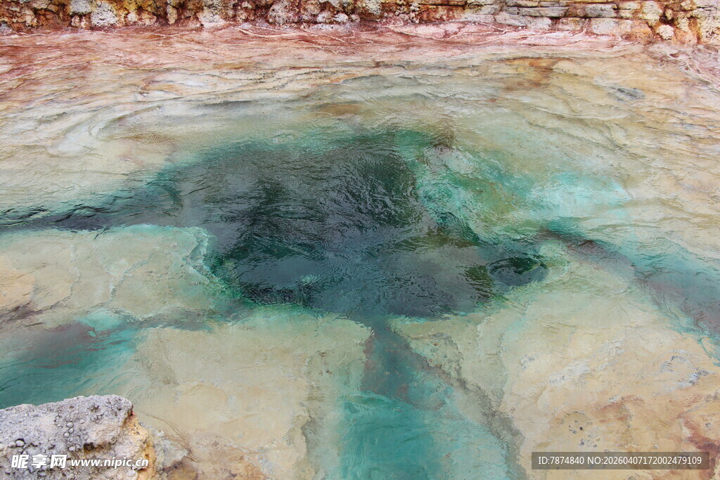 清澈见底的多彩水底世界