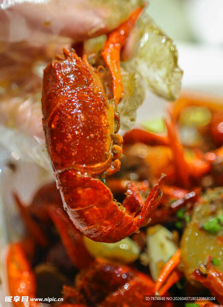 美味小龙虾特写