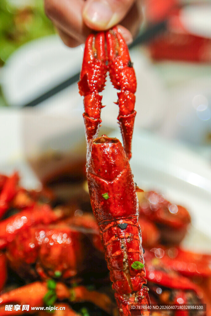 美味小龙虾被夹起