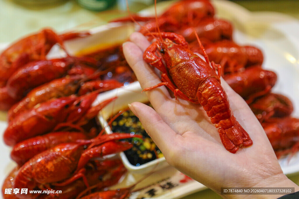 手捧美味小龙虾特写
