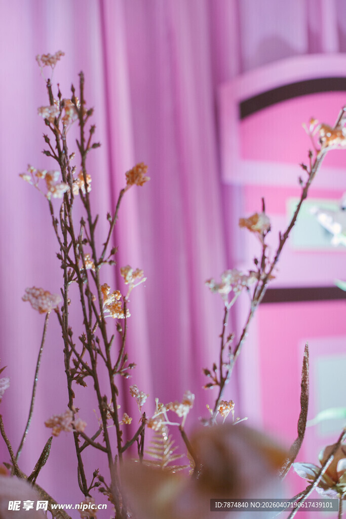 花瓶中绽放的素雅花枝