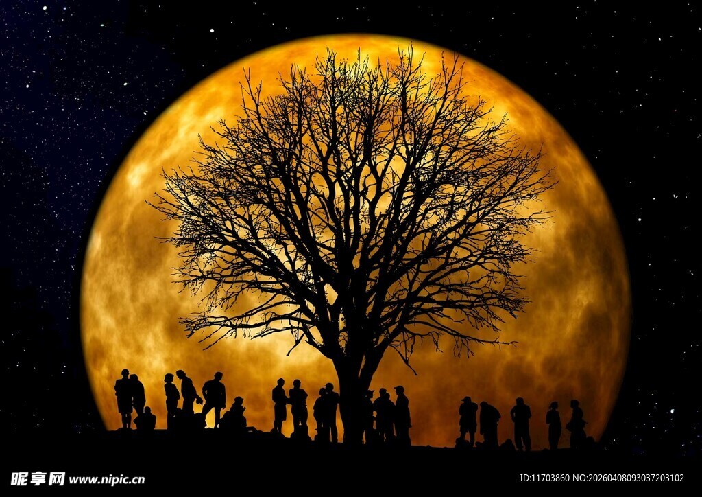 月夜下人群与枯树剪影电脑壁纸