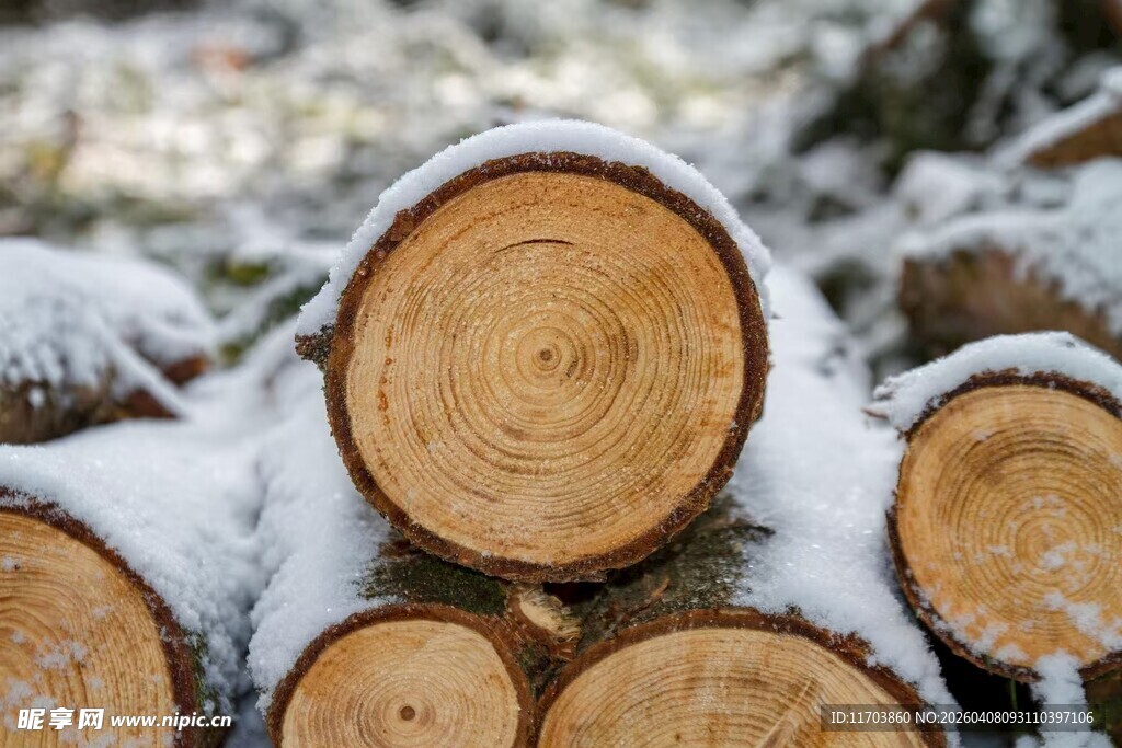 雪覆圆木冬日伐木景象电脑壁纸