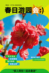春日游园花卉活动海报