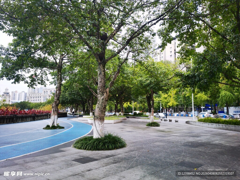 城市公园中的休闲林荫场地