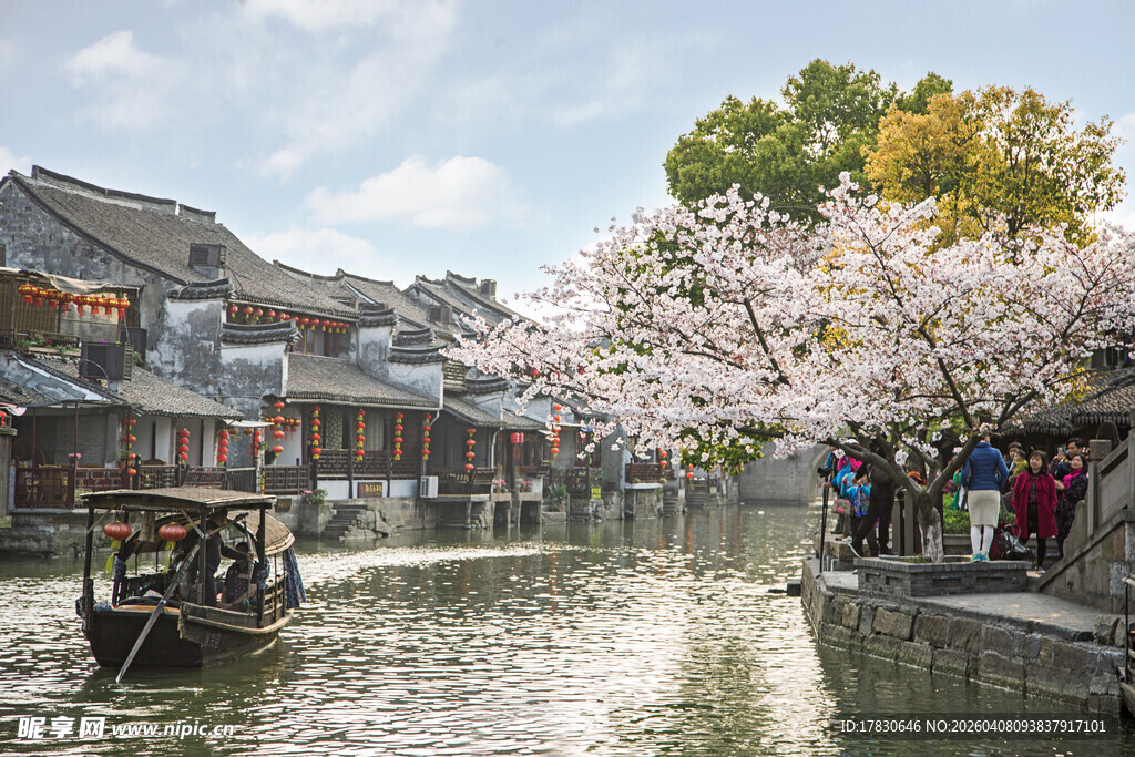 江南水乡春日游船美景