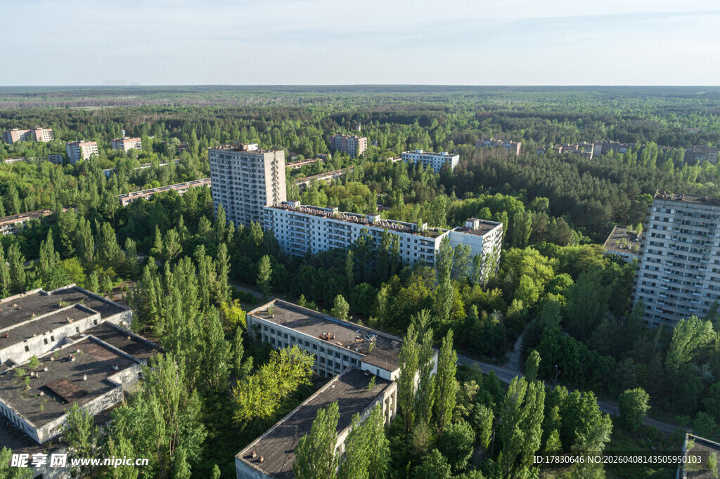 城市中的绿树与高楼景观