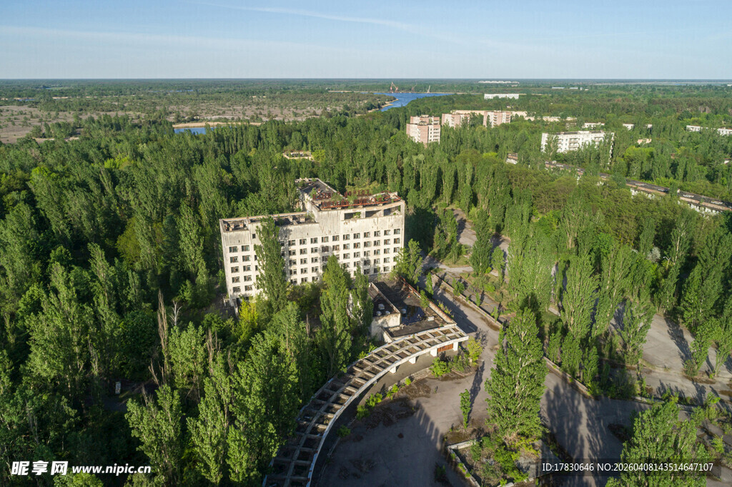 森林环绕中的建筑景观