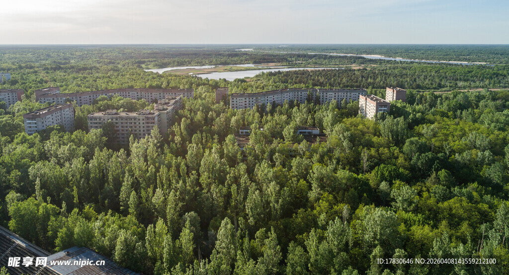 俯瞰葱郁森林与远处建筑