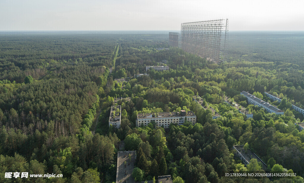 俯瞰城市森林景观