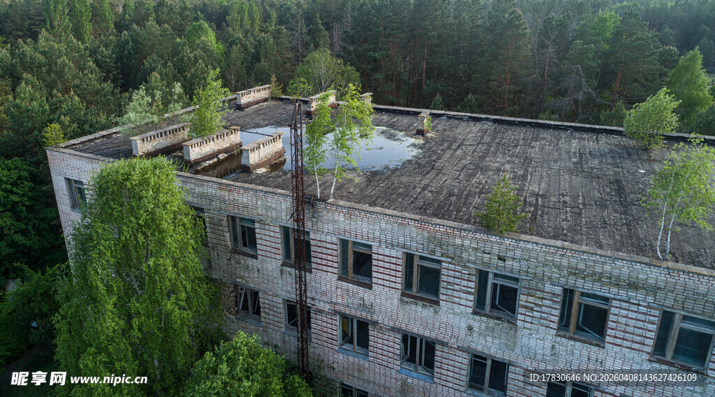 废弃楼房隐于葱郁树林中