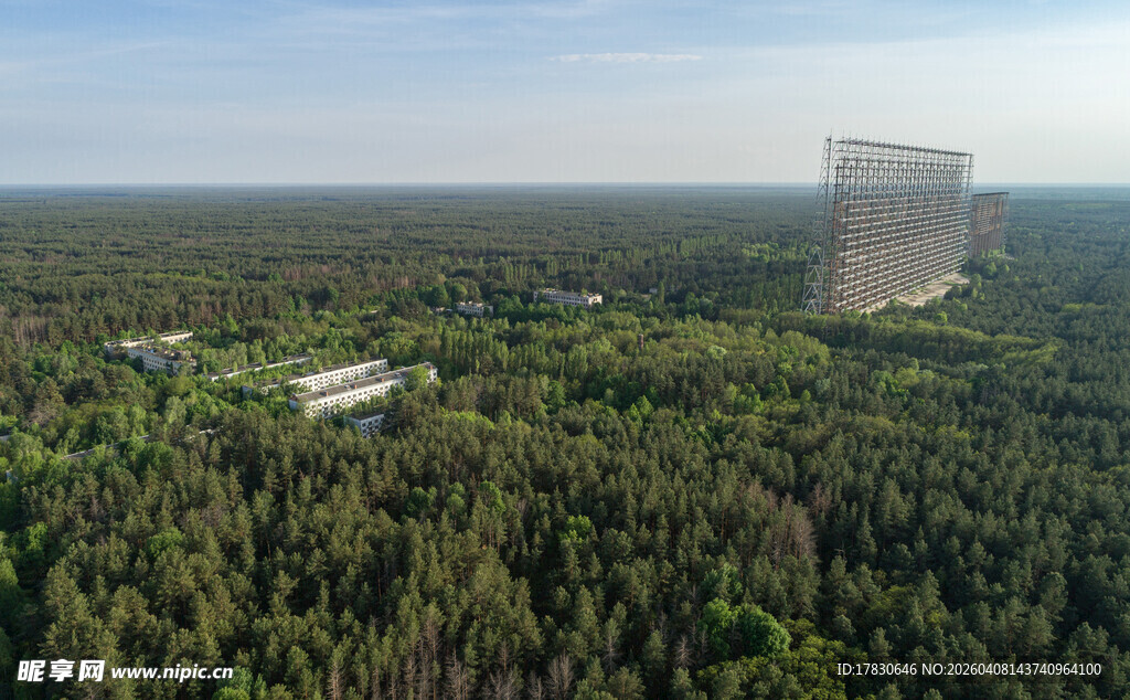 森林中的高耸建筑